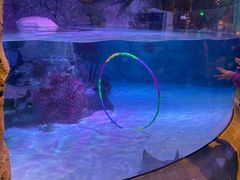 -沈阳海洋探索中心