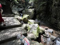 -藏龙百瀑风景区