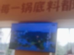 -费明中罗非鱼(大石坝店)