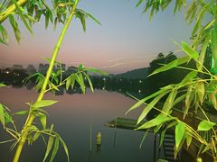 -东湖食堂·湖景餐厅•会议