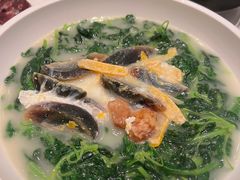 -金苑海鲜酒家(来魅力店)