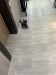 -北京炫美医疗美容