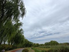 -大兴滨河森林公园