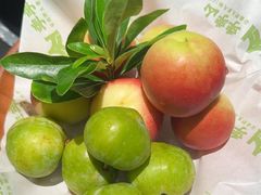 -季季山·云南野生菌火锅(上海首店)
