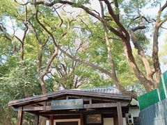 -马王堆汉墓遗址