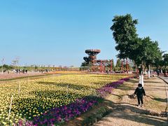 -芒洲湿地公园