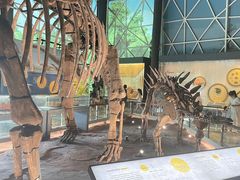 -湖南省地质博物馆