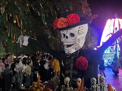 -大连海昌发现王国主题公园