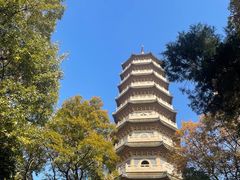 -灵谷景区