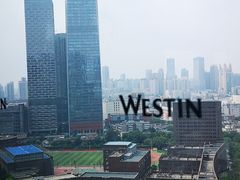 -天津君隆威斯汀酒店