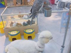 -万达广场(沈阳铁西店)