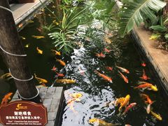-三亚亚龙湾五号度假别墅酒店
