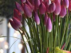 -新荣记(新源南路店)