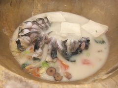 -云中鱼蒸汽石锅鱼(川沙百联店)