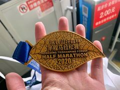 -铁山坪森林公园