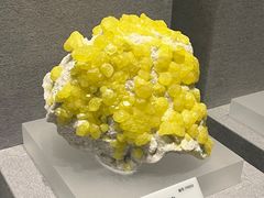 -贵州省地质博物馆