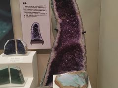 -天津自然博物馆