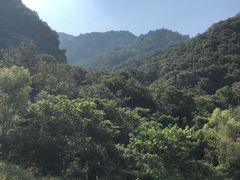 -沣峪口