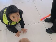 -全心全意连锁动物医院·微创中心·内科急重症·心脏专科(丰管路店)