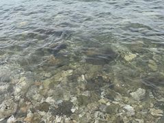 -三亚西岛海洋文化旅游区