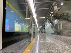 -大王基(地铁站)