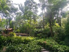 -青城道汤池