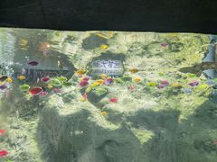 -苏州海洋馆