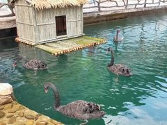 -古龙峡云天玻霸