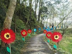 -千岛湖龙川湾