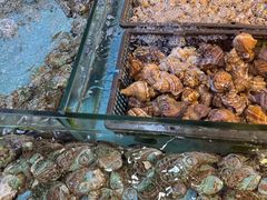 -金迎海鲜酒家(金凤凰广场店)