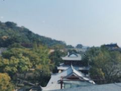 -七欣天香辣蟹火锅(南京建宁路大观天地店)