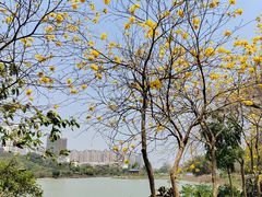 -广西壮族自治区药用植物园