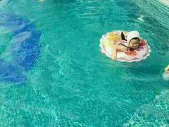 -威蒂斯国际健身游泳会所(东莞庄路店)