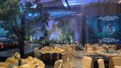 -上海浦东喜来登由由大酒店·宴会厅