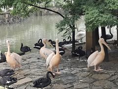 -黔灵山公园