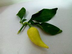 -天河儿童公园