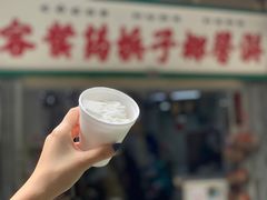 -洪馨椰子