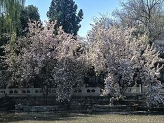-莲池书院博物馆