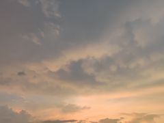 -塔斯汀中国汉堡(长平路店)