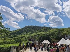 -沂蒙山旅游区云蒙景区(蒙山国家森林公园)