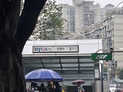 -大龙山(地铁站)