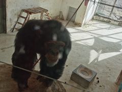 -太原动物园