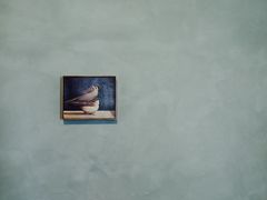 -Nathalie Djurberg与Hans Berg“牛皮纸包裹的月亮”-Prada荣宅当季展览
