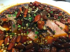 鸽杂毛血旺-琬苑鸽庄·川粤融合菜(解放碑总店)