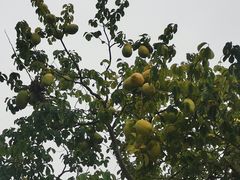 -太阳宫公园