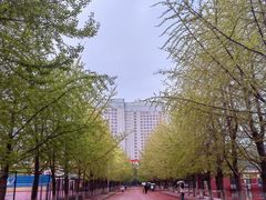 -辽宁大学(崇山校区)