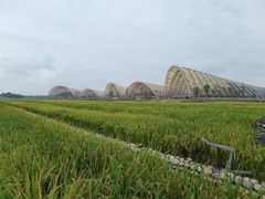 -中国天府农业博览园