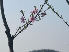 -长沙黑麋峰国家森林公园
