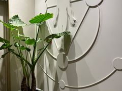 -常乐·对症推拿(来福士第43分店)