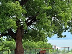 -晓琦农家菜馆·地道农家菜